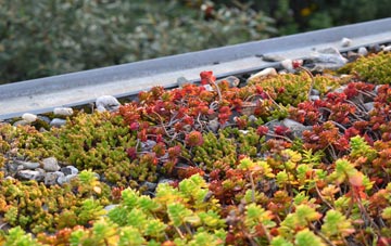 the cost of Souldern green roof installation