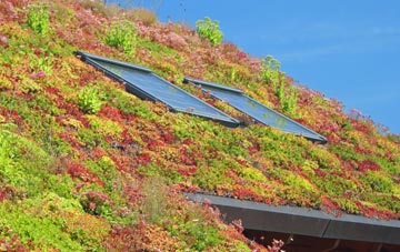 Souldern living roof systems